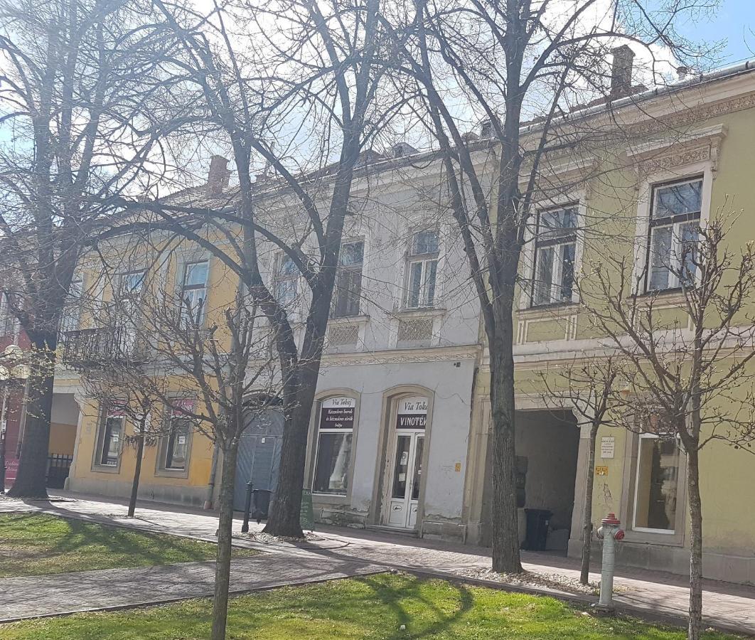 Via Tokaj Vendeghaz Apartment Satoraljaujhely Luaran gambar