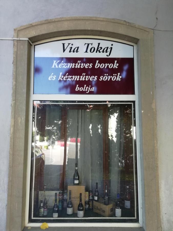 Via Tokaj Vendeghaz Apartment Satoraljaujhely Luaran gambar