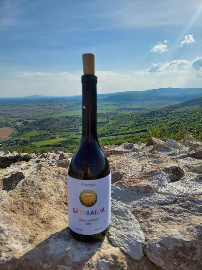 Via Tokaj Vendeghaz Apartment Satoraljaujhely Luaran gambar