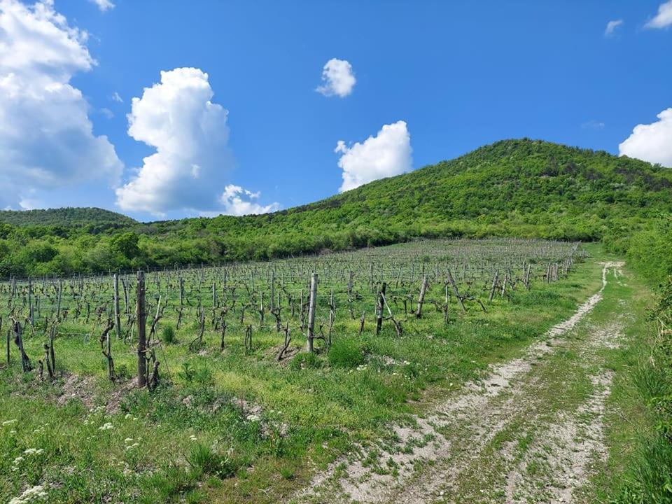 Via Tokaj Vendeghaz Apartment Satoraljaujhely Luaran gambar