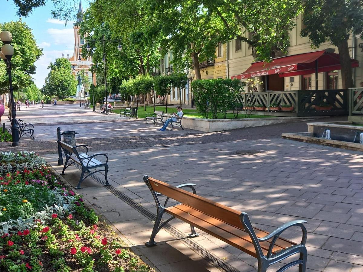 Via Tokaj Vendeghaz Apartment Satoraljaujhely Luaran gambar