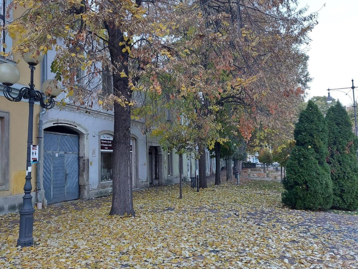 Via Tokaj Vendeghaz Apartment Satoraljaujhely Luaran gambar